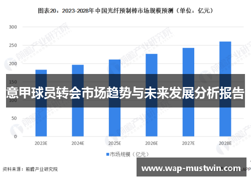 意甲球员转会市场趋势与未来发展分析报告